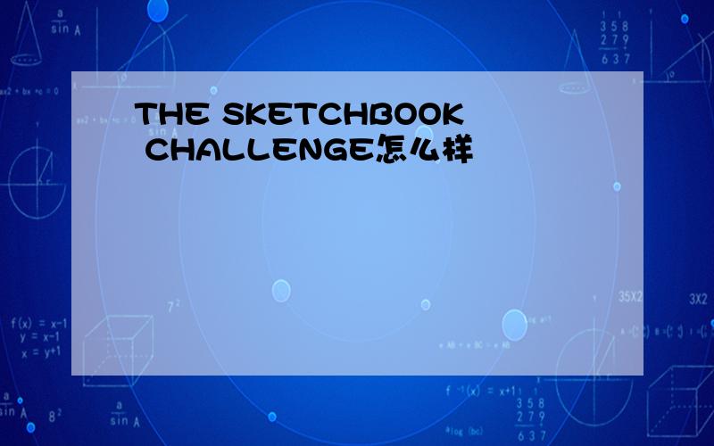 THE SKETCHBOOK CHALLENGE怎么样