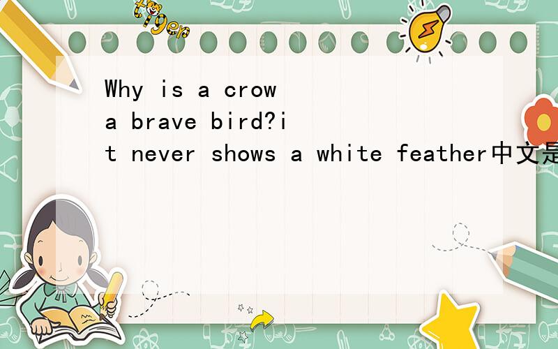 Why is a crow a brave bird?it never shows a white feather中文是什麼意思