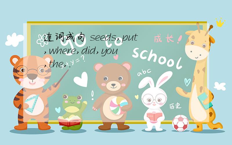 连词成句 seeds,put,where,did,you,the,.