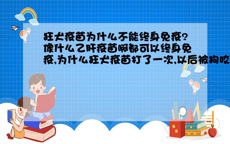 狂犬疫苗为什么不能终身免疫?像什么乙肝疫苗啊都可以终身免疫,为什么狂犬疫苗打了一次,以后被狗咬了还要打针?按照体液免疫.注射一次以后,不就可以产生记忆细胞以便二次免疫?