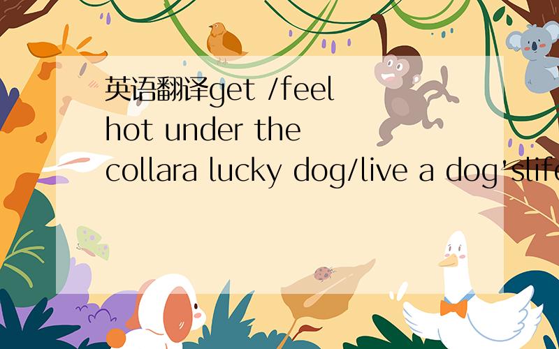 英语翻译get /feel hot under the collara lucky dog/live a dog'slifelove me love my dogbe biue in the face chewing gum on top of the world walls have ears