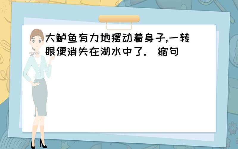 大鲈鱼有力地摆动着身子,一转眼便消失在湖水中了.（缩句）