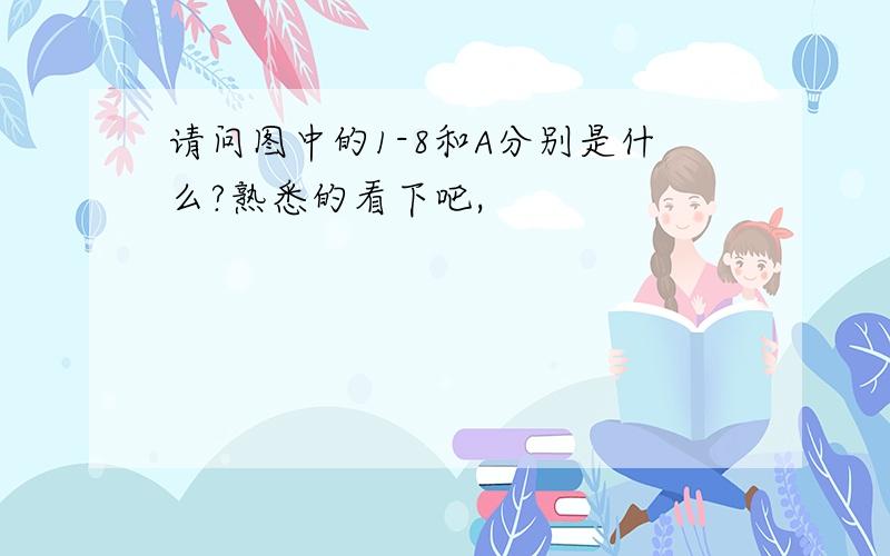 请问图中的1-8和A分别是什么?熟悉的看下吧,