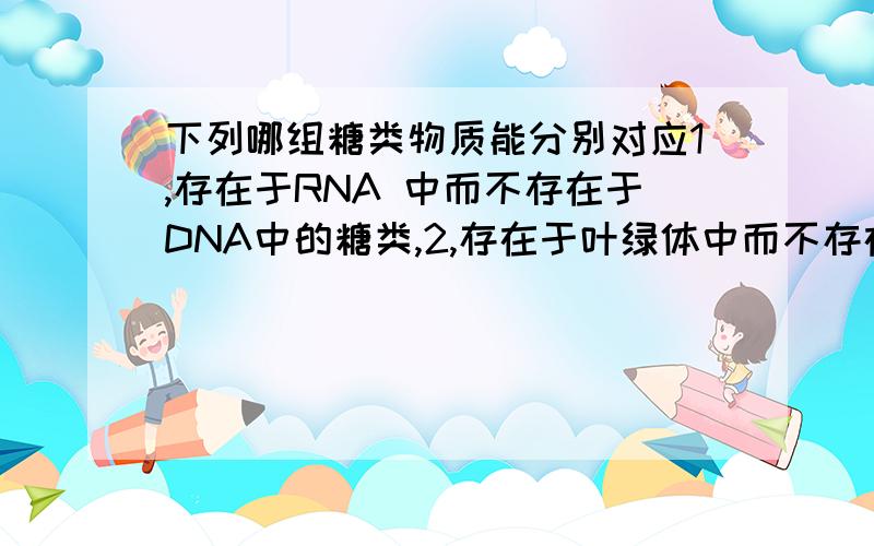 下列哪组糖类物质能分别对应1,存在于RNA 中而不存在于DNA中的糖类,2,存在于叶绿体中而不存在于核糖体中的糖类 ,3,存在于动物细胞中而不存在于植物细胞中的糖类A 核糖、糖原、乳糖 B 脱氧