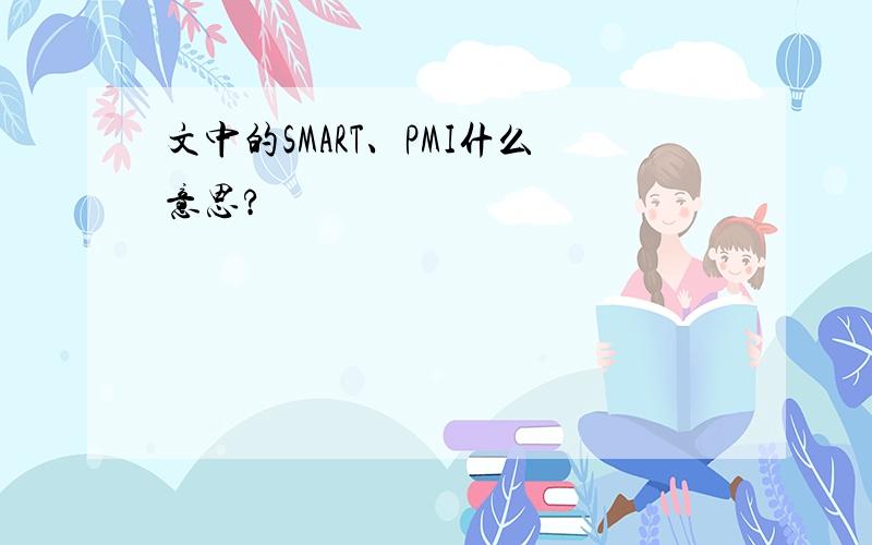 文中的SMART、PMI什么意思?