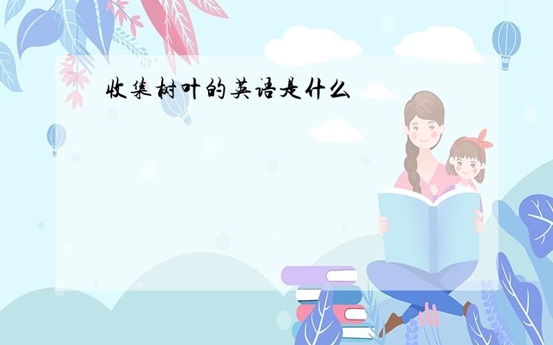 收集树叶的英语是什么