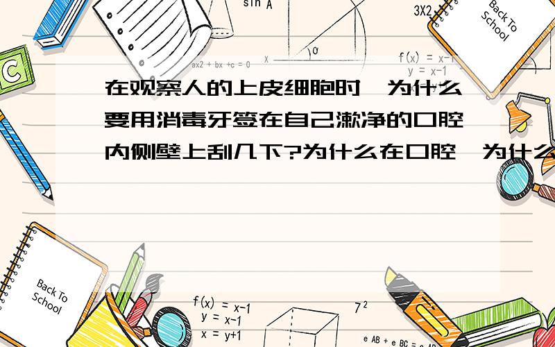 在观察人的上皮细胞时,为什么要用消毒牙签在自己漱净的口腔内侧壁上刮几下?为什么在口腔,为什么不在手上或者别的地方?