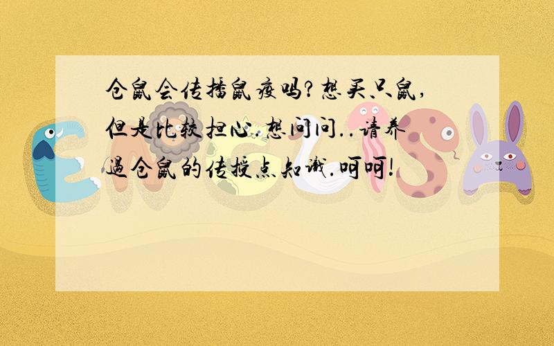 仓鼠会传播鼠疫吗?想买只鼠,但是比较担心.想问问..请养过仓鼠的传授点知识.呵呵!