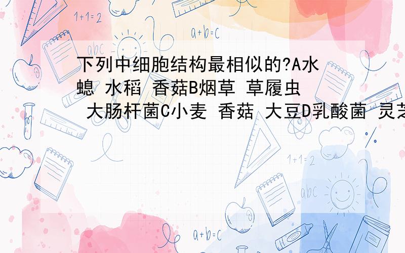 下列中细胞结构最相似的?A水螅 水稻 香菇B烟草 草履虫 大肠杆菌C小麦 香菇 大豆D乳酸菌 灵芝 蚯蚓谁会啊,