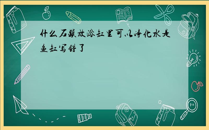 什么石头放浴缸里可以净化水是鱼缸写错了