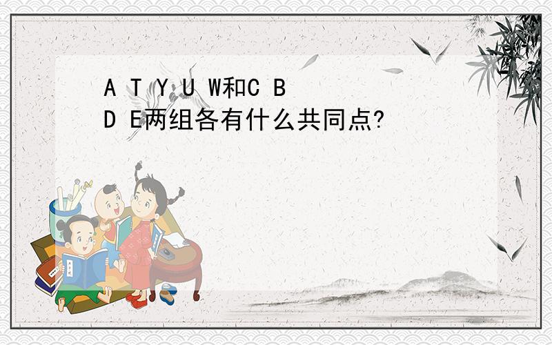 A T Y U W和C B D E两组各有什么共同点?