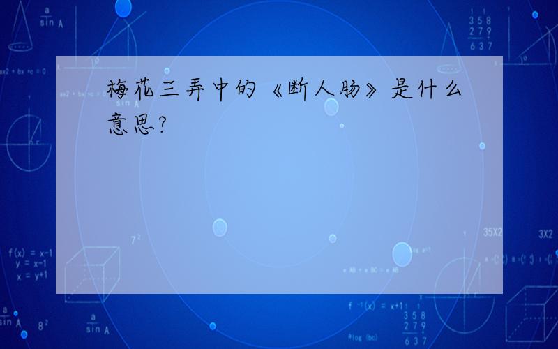 梅花三弄中的《断人肠》是什么意思?