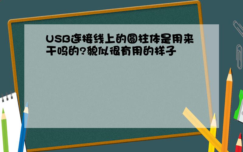 USB连接线上的圆柱体是用来干吗的?貌似很有用的样子