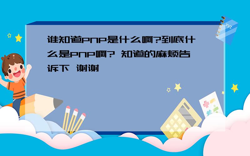 谁知道PNP是什么啊?到底什么是PNP啊? 知道的麻烦告诉下 谢谢