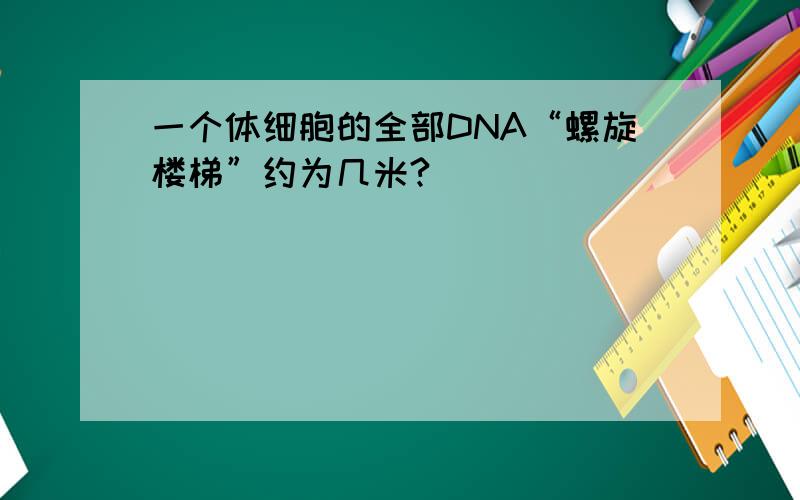 一个体细胞的全部DNA“螺旋楼梯”约为几米?