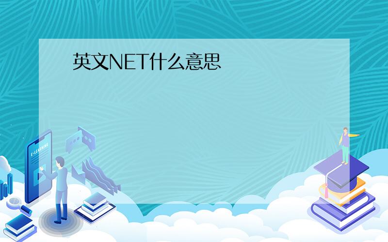 英文NET什么意思