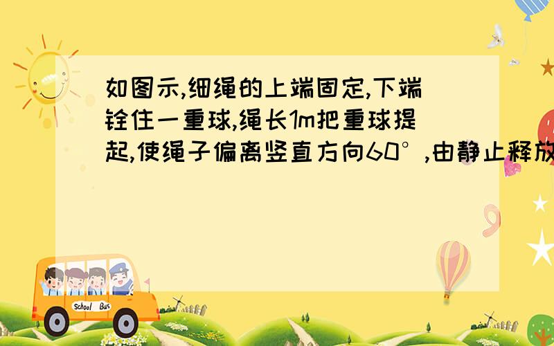 如图示,细绳的上端固定,下端铨住一重球,绳长1m把重球提起,使绳子偏离竖直方向60°,由静止释放,求小球摆回最低点时,绳子拉力的大小.