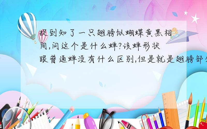 捉到知了一只翅膀似蝴蝶黄黑相间,问这个是什么蝉?该蝉形状跟普通蝉没有什么区别,但是就是翅膀部分有黄色的点,极其类似蝴蝶的翅膀