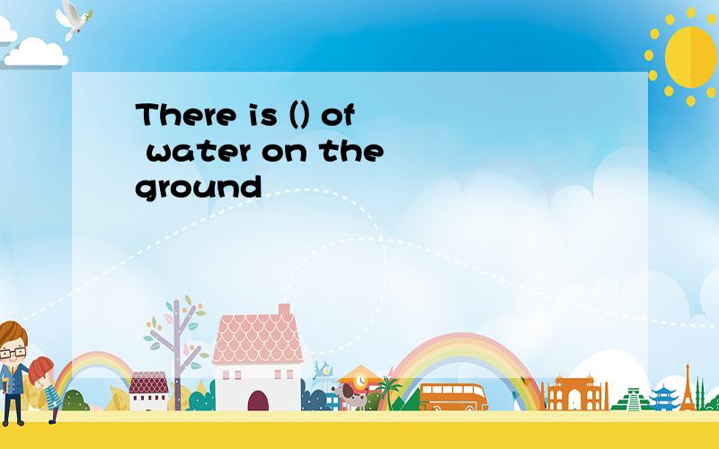 There is () of water on the ground