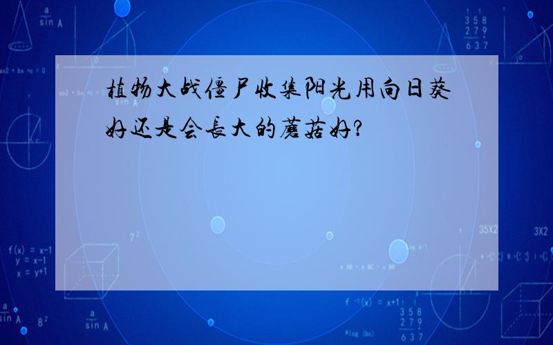 植物大战僵尸收集阳光用向日葵好还是会长大的蘑菇好?