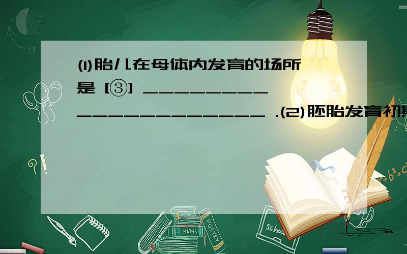 (1)胎儿在母体内发育的场所是 [③] ____________________ .(2)胚胎发育初期由______________________(1)胎儿在母体内发育的场所是  [③] ____________________ . (2)胚胎发育初期由______________________  提供营养; 胚