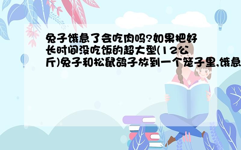 兔子饿急了会吃肉吗?如果把好长时间没吃饭的超大型(12公斤)兔子和松鼠鸽子放到一个笼子里,饿急了的兔子会吃松鼠和鸽子吗?兔子攻击松鼠和鸽子的手段是什么?