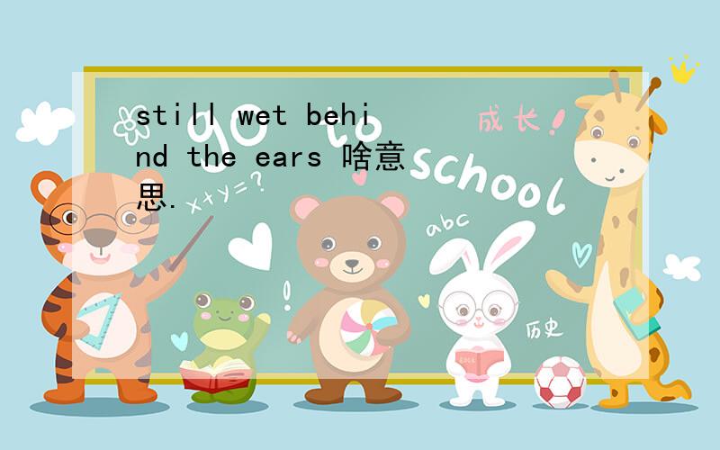 still wet behind the ears 啥意思.