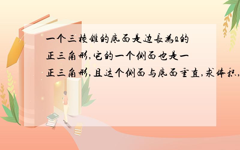 一个三棱锥的底面是边长为a的正三角形,它的一个侧面也是一正三角形,且这个侧面与底面垂直,求体积,面积