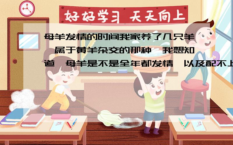 母羊发情的时间我家养了几只羊,属于黄羊杂交的那种,我想知道,母羊是不是全年都发情,以及配不上多久会再一次发情?我的是一年的母羊!