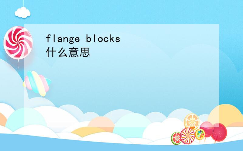 flange blocks 什么意思