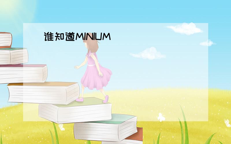 谁知道MINIUM