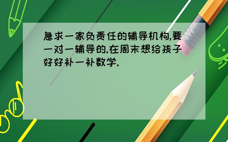 急求一家负责任的辅导机构,要一对一辅导的.在周末想给孩子好好补一补数学.