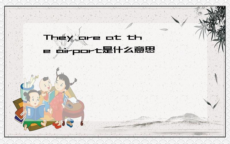 They are at the airport是什么意思