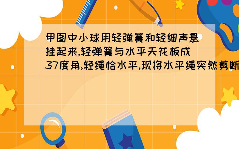 甲图中小球用轻弹簧和轻细声悬挂起来,轻弹簧与水平天花板成37度角,轻绳恰水平,现将水平绳突然剪断,求此瞬间小球加速度