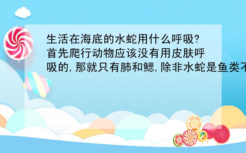 生活在海底的水蛇用什么呼吸?首先爬行动物应该没有用皮肤呼吸的,那就只有肺和鳃,除非水蛇是鱼类不然怎么会用鳃呼吸的类?那用什么呼吸的?就这个问题.2L，皮肤呼吸是两栖动物的特征，