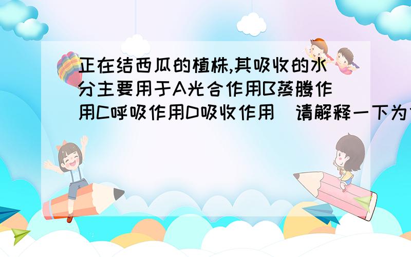 正在结西瓜的植株,其吸收的水分主要用于A光合作用B蒸腾作用C呼吸作用D吸收作用（请解释一下为什么选）