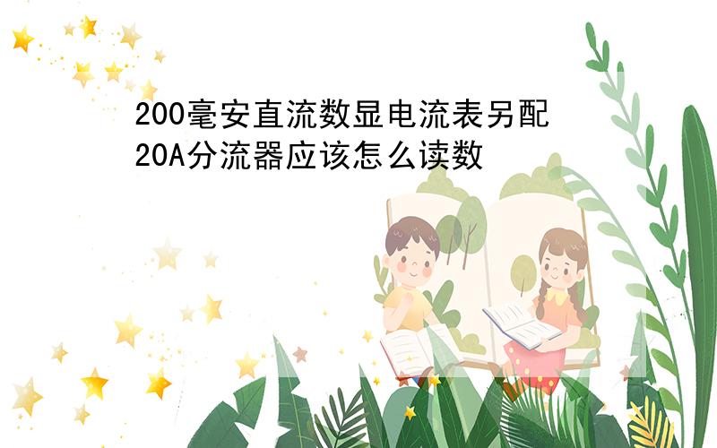 200毫安直流数显电流表另配20A分流器应该怎么读数