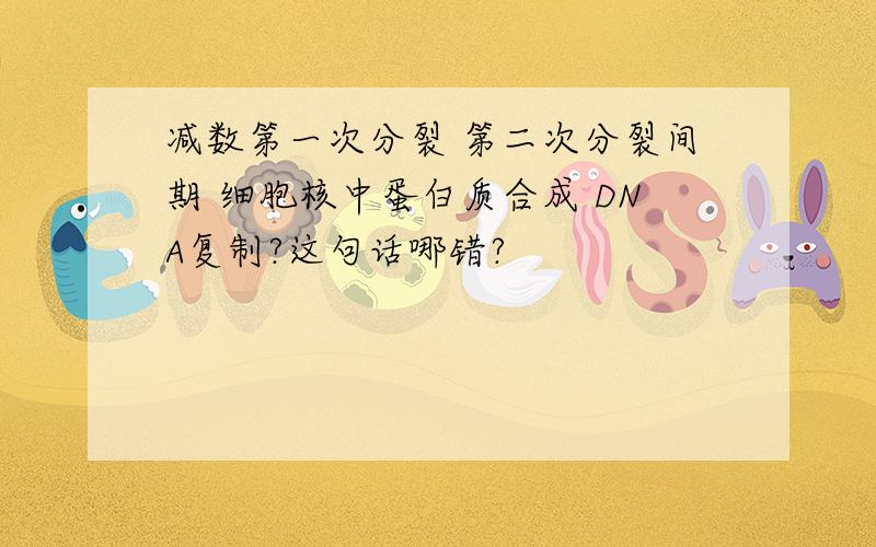 减数第一次分裂 第二次分裂间期 细胞核中蛋白质合成 DNA复制?这句话哪错?