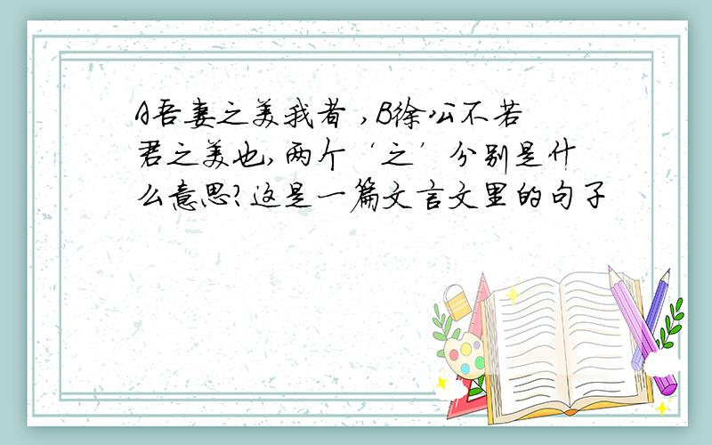 A吾妻之美我者 ,B徐公不若君之美也,两个‘之’分别是什么意思?这是一篇文言文里的句子