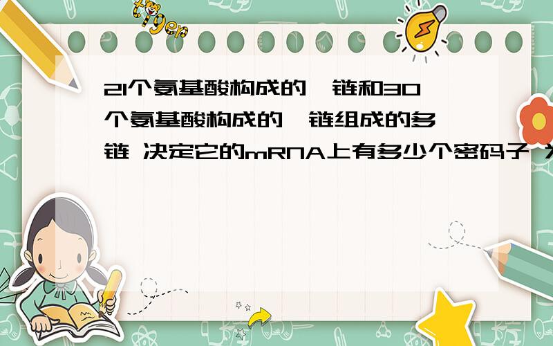 21个氨基酸构成的肽链和30个氨基酸构成的肽链组成的多肽链 决定它的mRNA上有多少个密码子 为什么