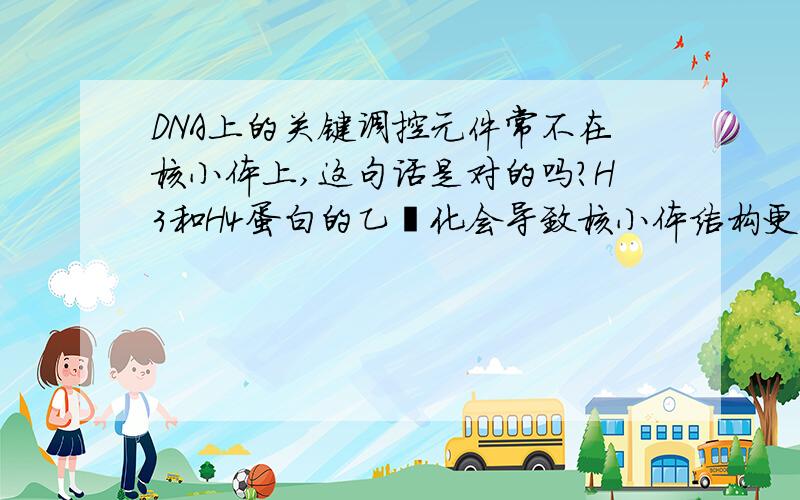 DNA上的关键调控元件常不在核小体上,这句话是对的吗?H3和H4蛋白的乙酰化会导致核小体结构更加稳定还是不稳定呢?（书上说是有利于DNA从核小体上脱落下来）