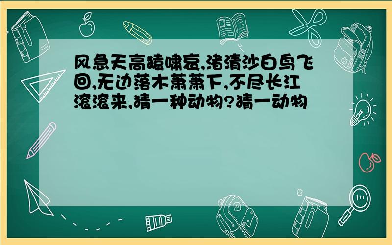 风急天高猿啸哀,渚清沙白鸟飞回,无边落木萧萧下,不尽长江滚滚来,猜一种动物?猜一动物