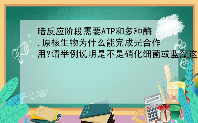 暗反应阶段需要ATP和多种酶,原核生物为什么能完成光合作用?请举例说明是不是硝化细菌或蓝藻这类生物？