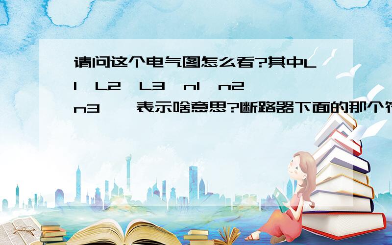 请问这个电气图怎么看?其中L1、L2、L3,n1、n2、n3……表示啥意思?断路器下面的那个符号表示什么意思?