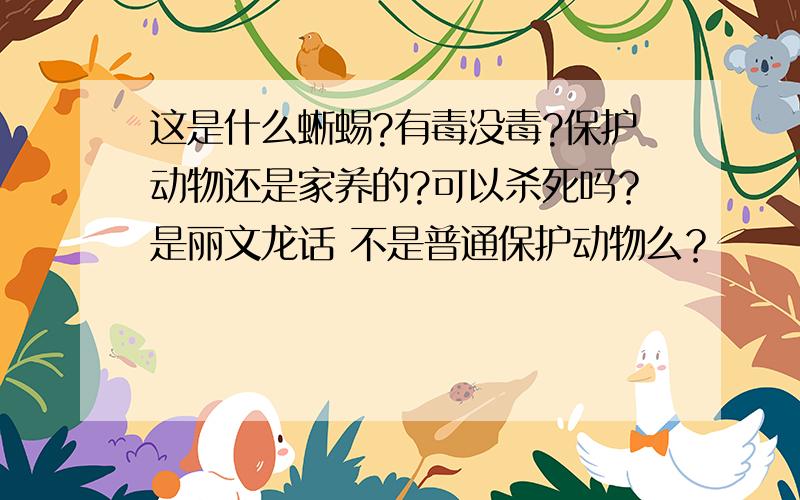 这是什么蜥蜴?有毒没毒?保护动物还是家养的?可以杀死吗？是丽文龙话 不是普通保护动物么？