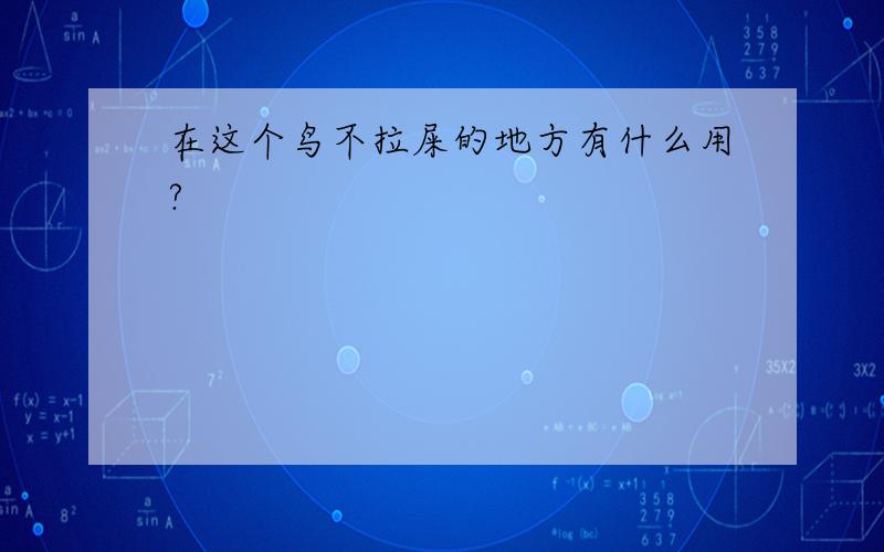 在这个鸟不拉屎的地方有什么用?