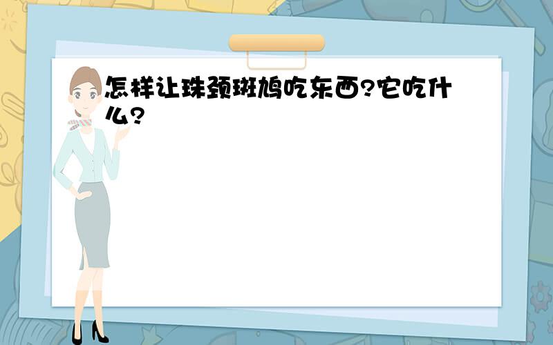 怎样让珠颈斑鸠吃东西?它吃什么?