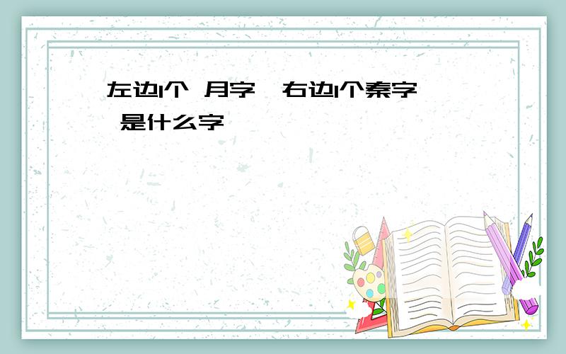 左边1个 月字,右边1个秦字 是什么字