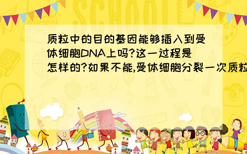 质粒中的目的基因能够插入到受体细胞DNA上吗?这一过程是怎样的?如果不能,受体细胞分裂一次质粒就只能存在于两个子细胞中的一个中?