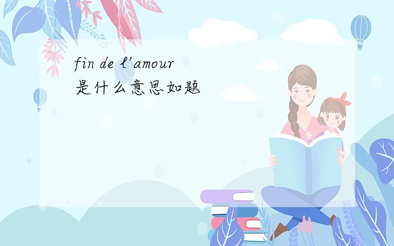 fin de l'amour是什么意思如题